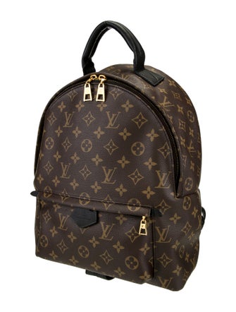 Louis Vuitton LV Monogram Palm Springs MM