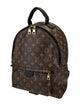 Louis Vuitton LV Monogram Palm Springs MM