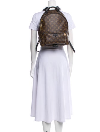 Louis Vuitton LV Monogram Palm Springs MM