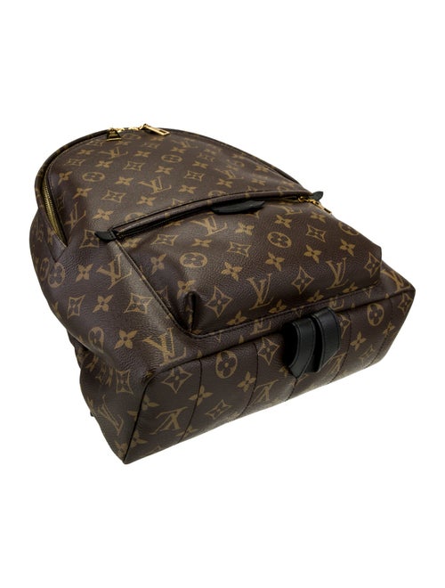 Louis Vuitton LV Monogram Palm Springs MM