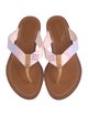 Louis Vuitton LV Monogram Flip Flops