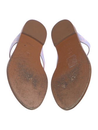 Louis Vuitton LV Monogram Flip Flops