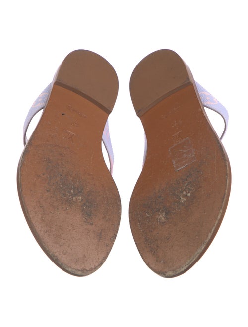 Louis Vuitton LV Monogram Flip Flops