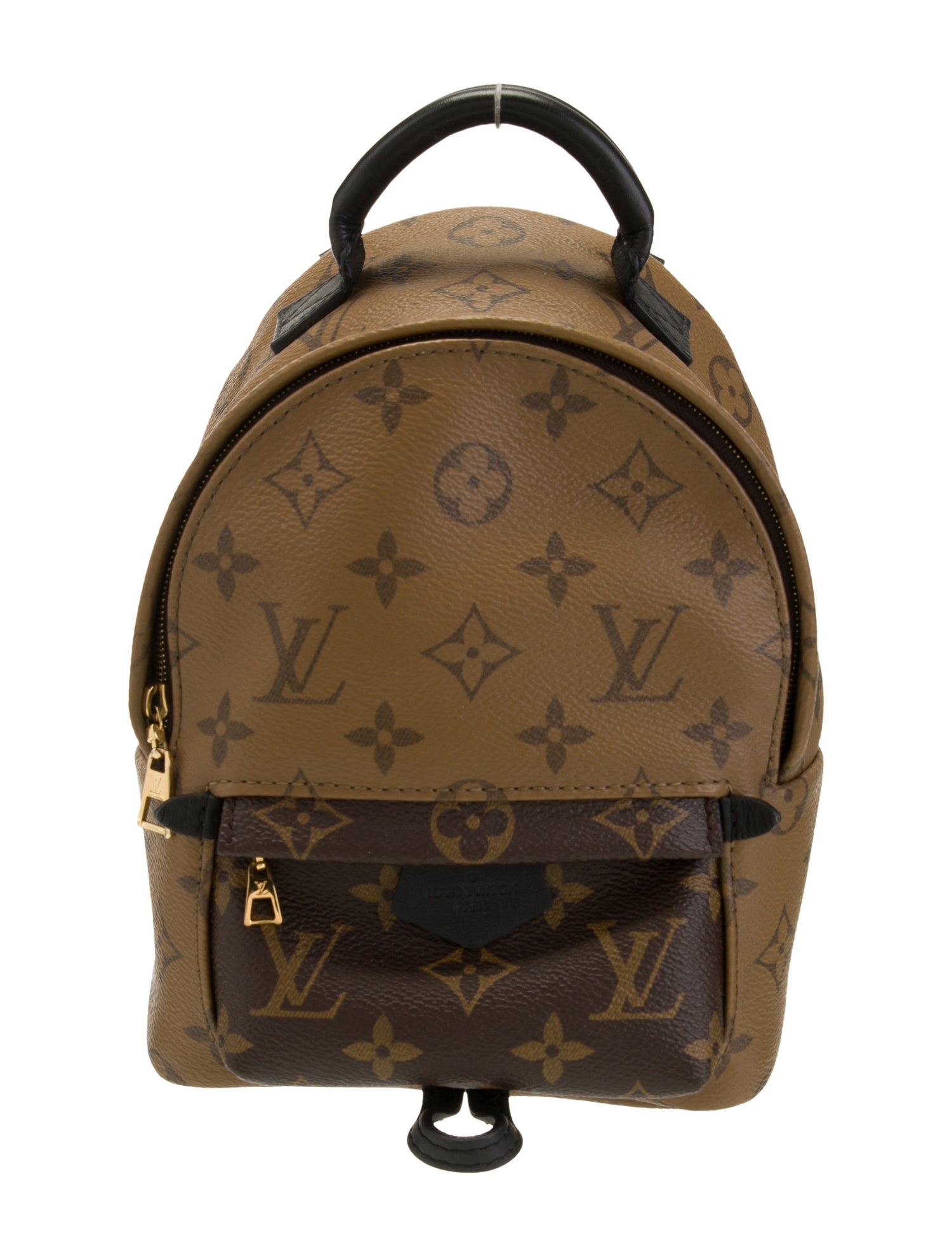Louis Vuitton LV Monogram Palm Springs Mini