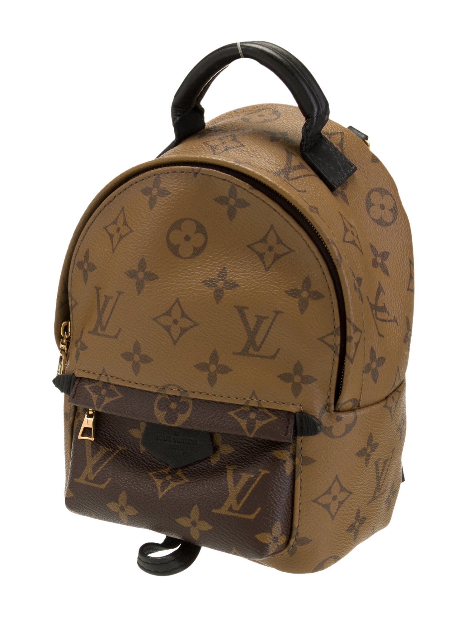 Louis Vuitton LV Monogram Palm Springs Mini
