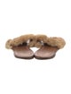 Louis Vuitton Fur Slides
