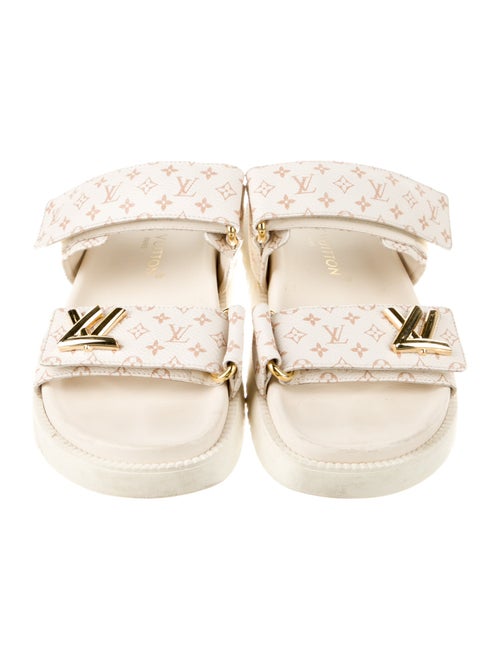 Louis Vuitton Printed Slides