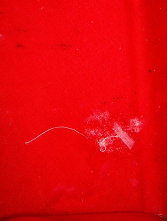 Louis Vuitton Monogram Reverse OnTheGo