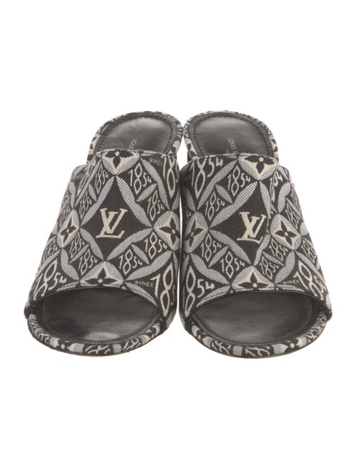 Louis Vuitton 2020 Canvas Slides