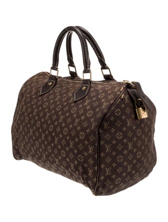 Louis Vuitton Monogram Mini Lin Speedy 30