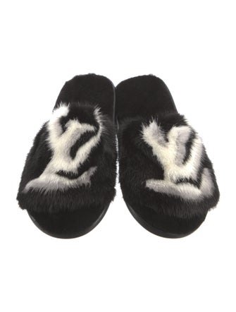 Louis Vuitton Printed Slides