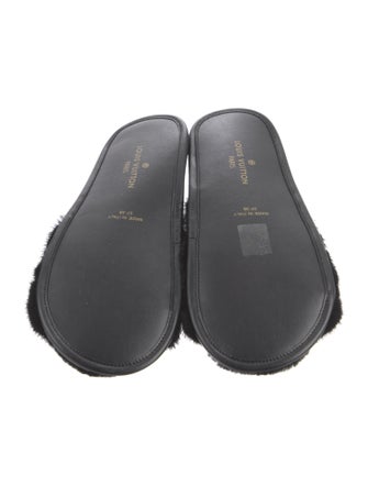 Louis Vuitton Printed Slides