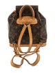 Louis Vuitton LV Monogram Montsouris Mini