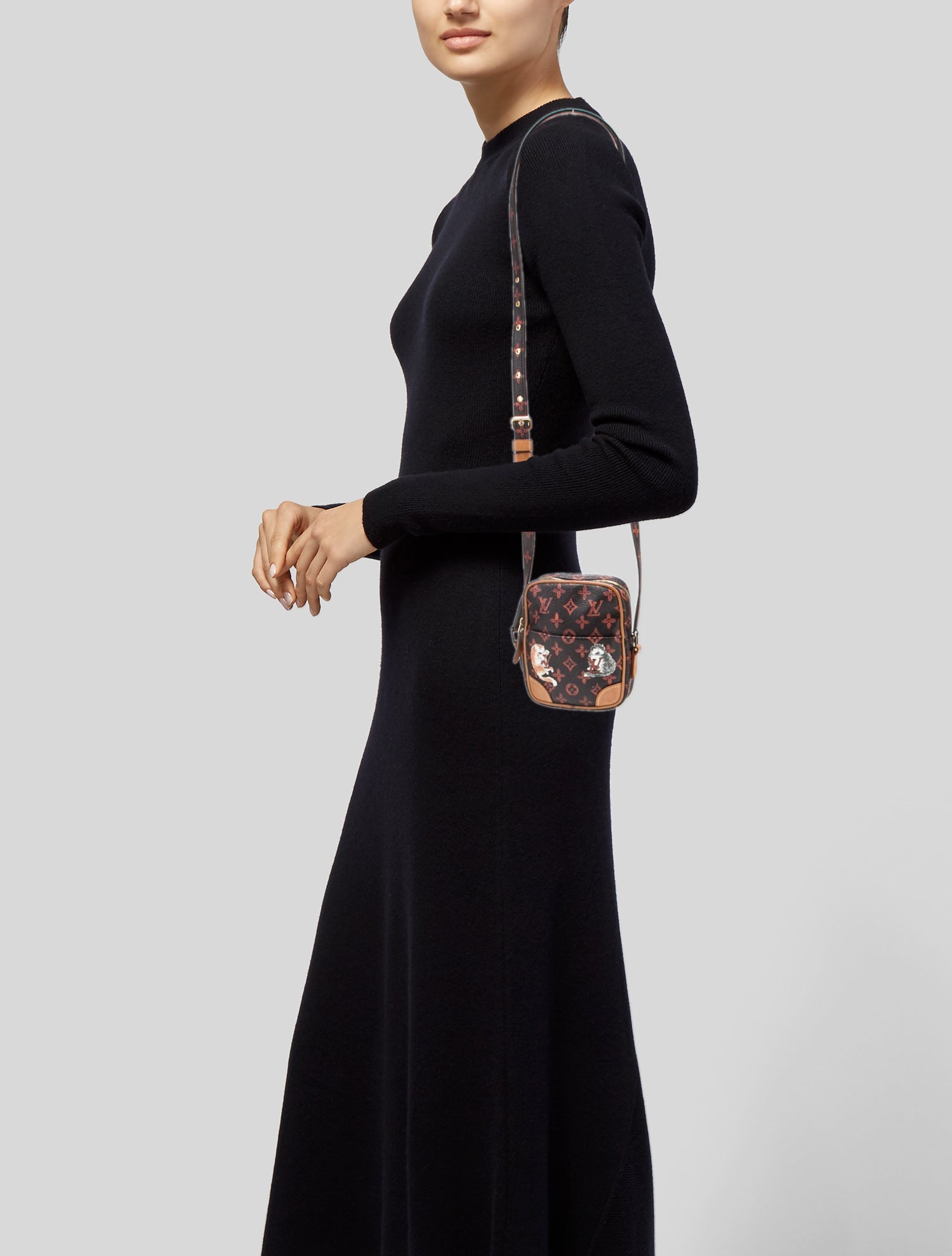 Louis Vuitton Catogram Catogram Paname Mini