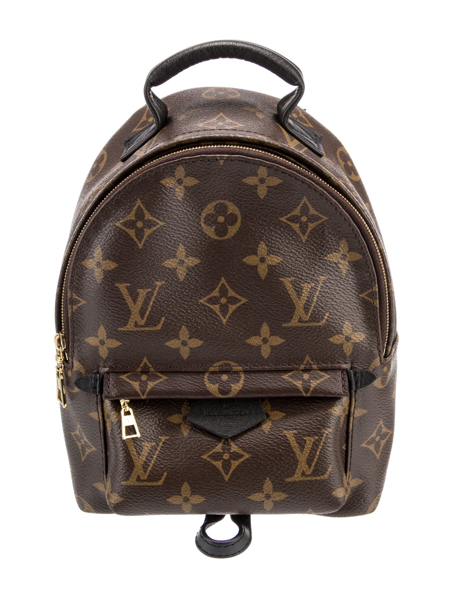 Louis Vuitton LV Monogram Palm Springs Mini