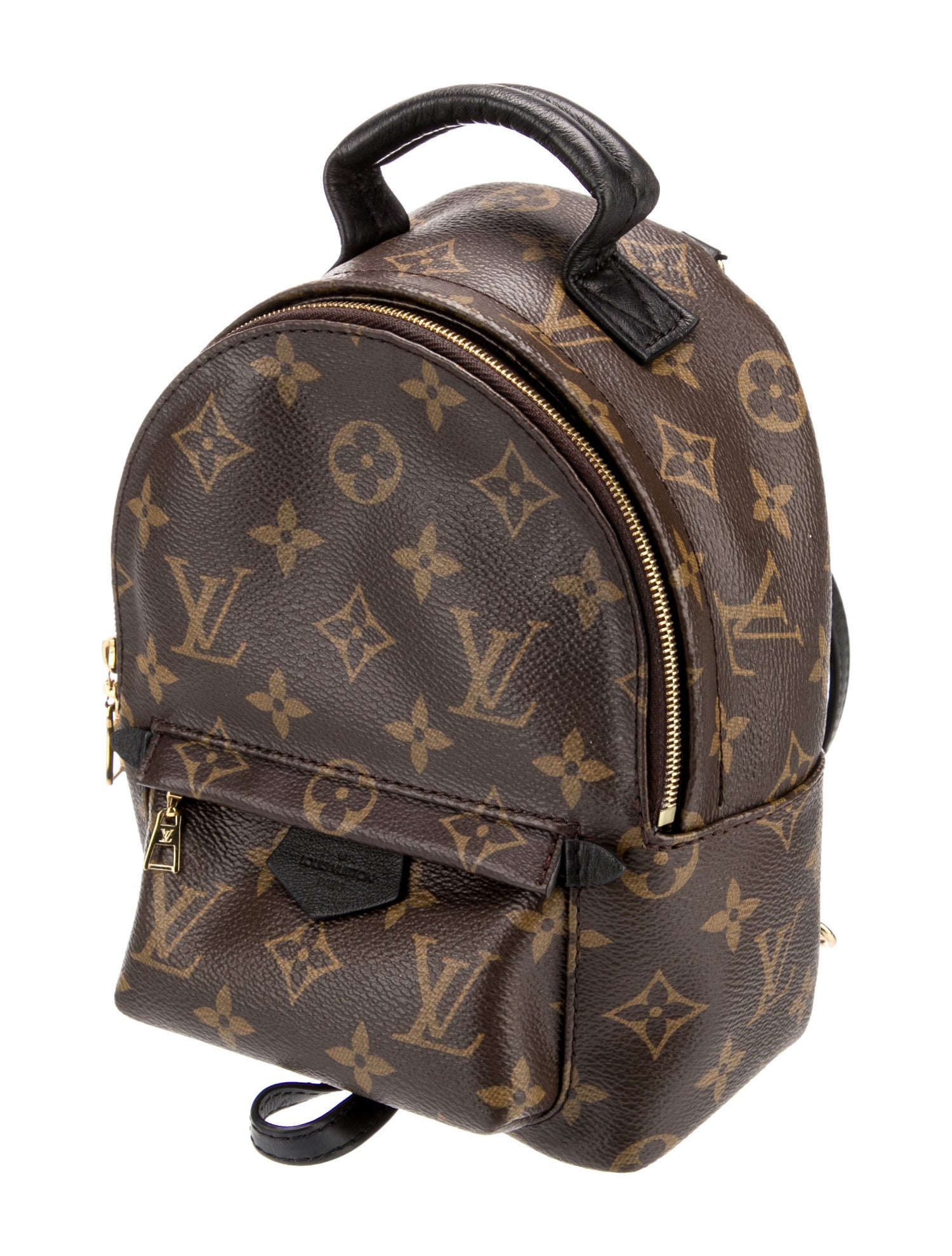Louis Vuitton LV Monogram Palm Springs Mini