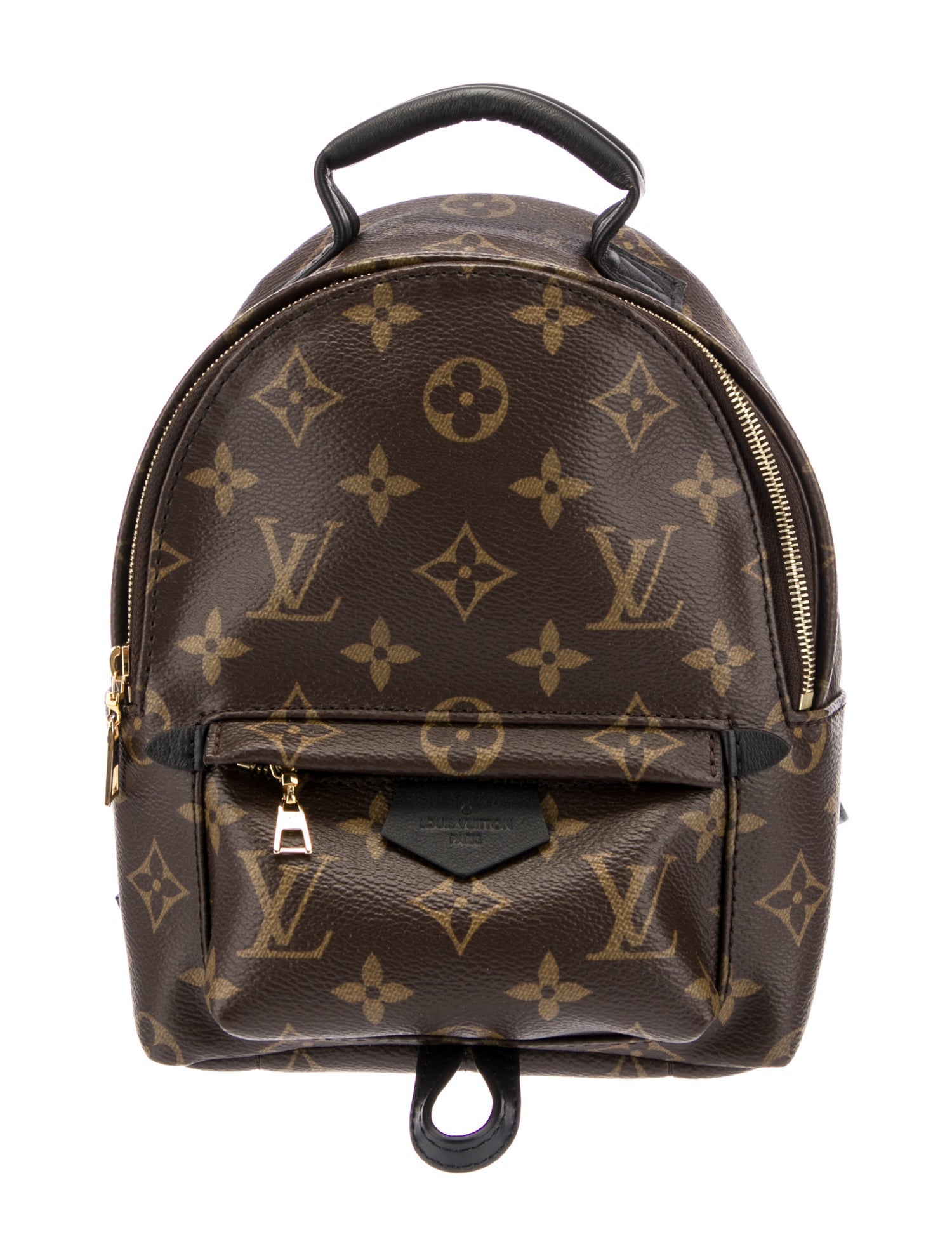 Louis Vuitton LV Monogram Palm Springs Mini