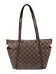 Louis Vuitton LV Monogram Totally PM