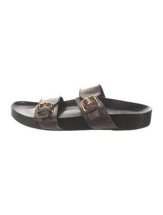 Louis Vuitton LV Monogram Slides