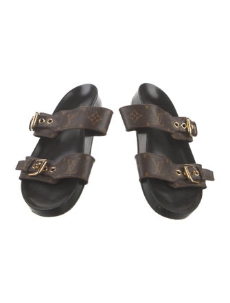 Louis Vuitton LV Monogram Slides