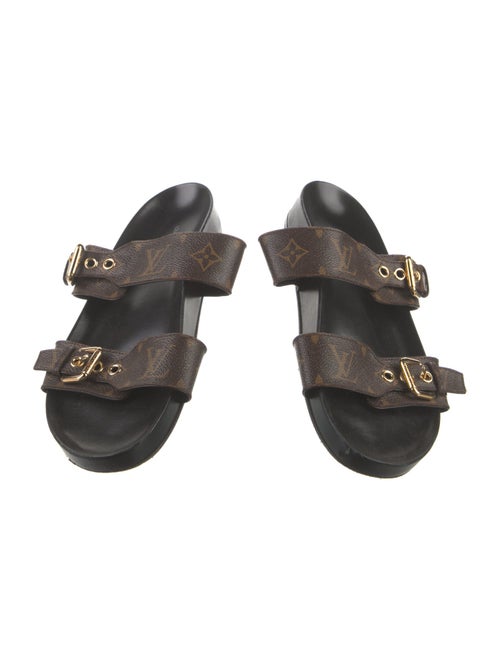 Louis Vuitton LV Monogram Slides