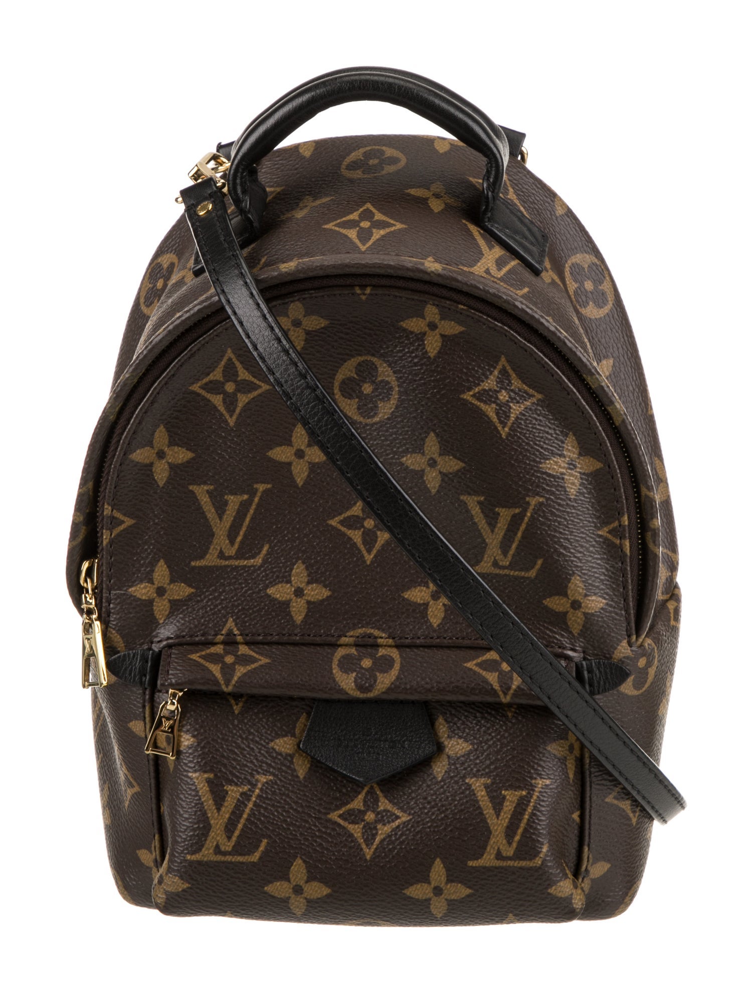 Louis Vuitton LV Monogram Palm Springs Mini