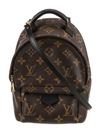 Louis Vuitton LV Monogram Palm Springs Mini