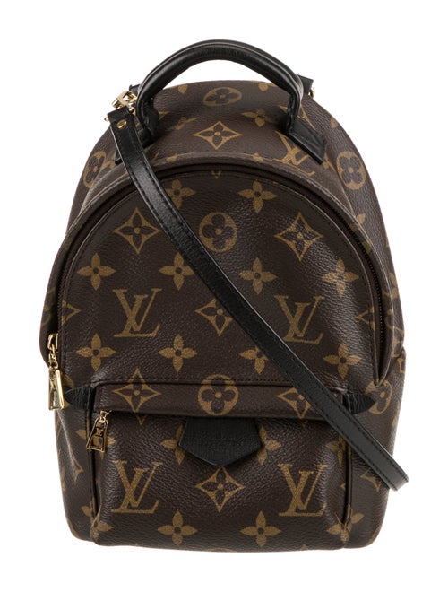 Louis Vuitton LV Monogram Palm Springs Mini