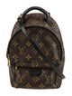 Louis Vuitton LV Monogram Palm Springs Mini