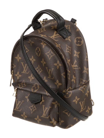 Louis Vuitton LV Monogram Palm Springs Mini