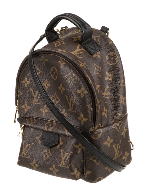 Louis Vuitton LV Monogram Palm Springs Mini