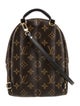 Louis Vuitton LV Monogram Palm Springs Mini