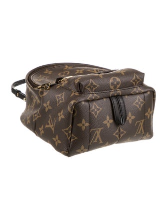 Louis Vuitton LV Monogram Palm Springs Mini