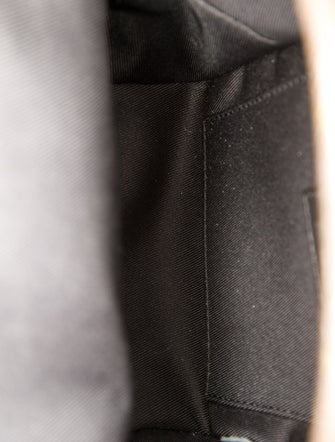 Louis Vuitton LV Monogram Palm Springs Mini