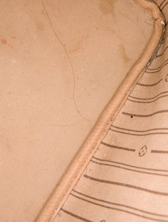 Louis Vuitton LV Monogram Neverfull PM