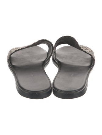 Louis Vuitton LV Monogram Canvas Slides