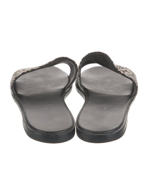 Louis Vuitton LV Monogram Canvas Slides