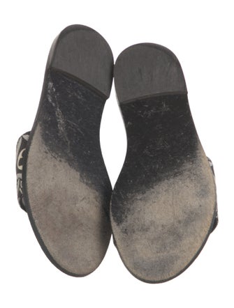 Louis Vuitton LV Monogram Canvas Slides