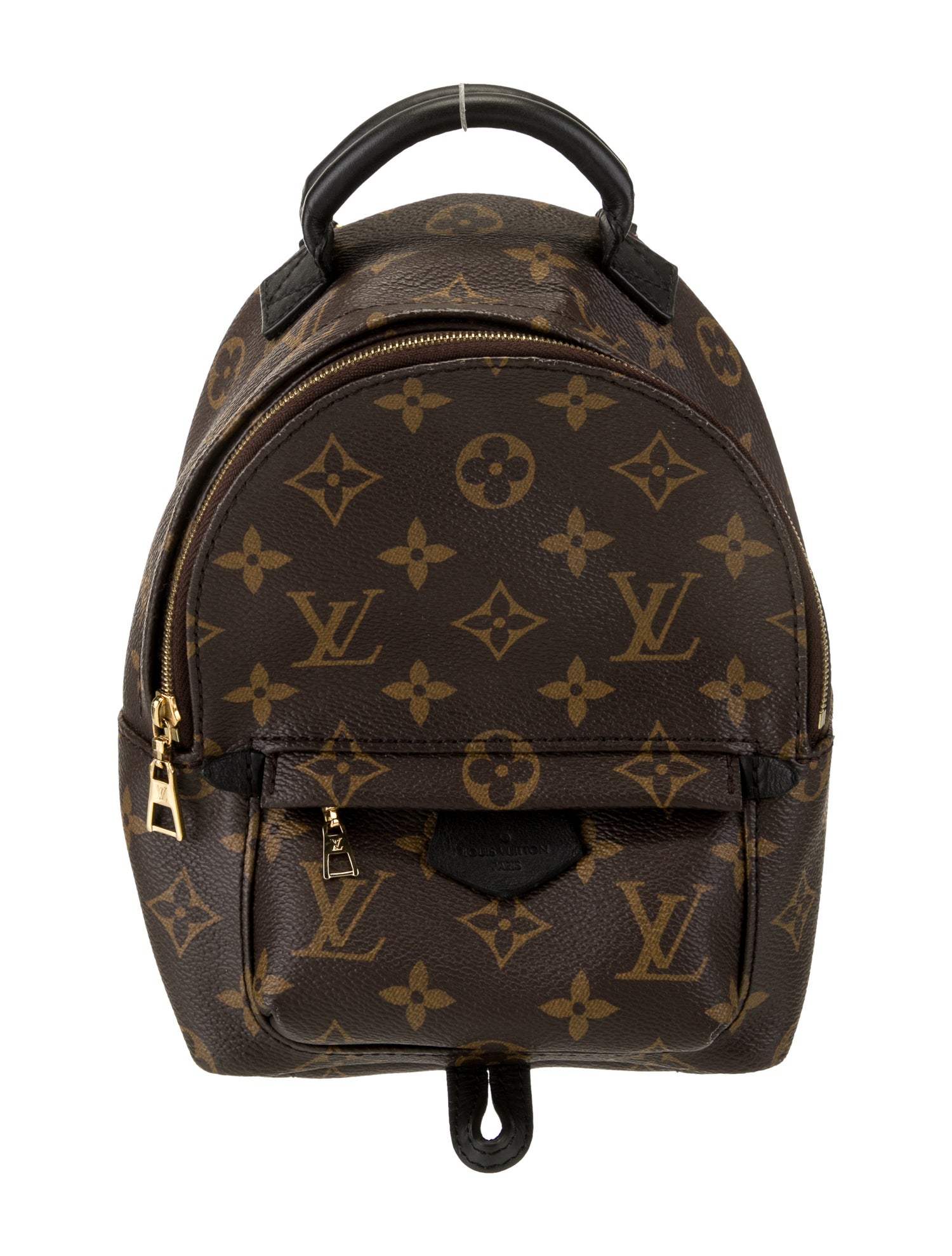 Louis Vuitton Monogram Palm Springs Mini