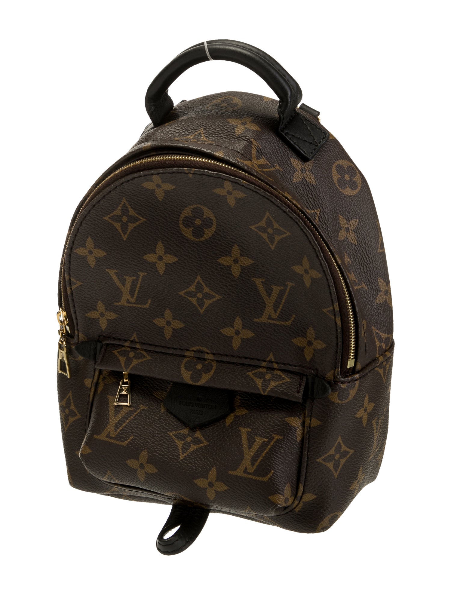 Louis Vuitton Monogram Palm Springs Mini