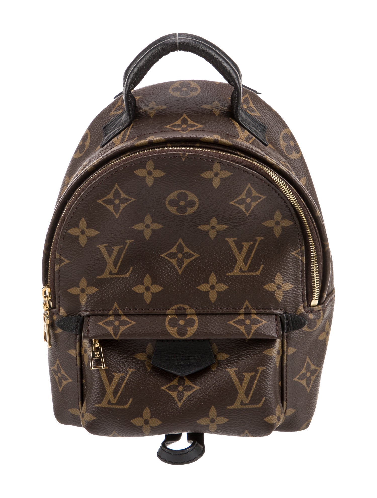 Louis Vuitton LV Monogram Palm Springs Mini