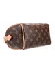 Louis Vuitton LV Monogram Speedy
