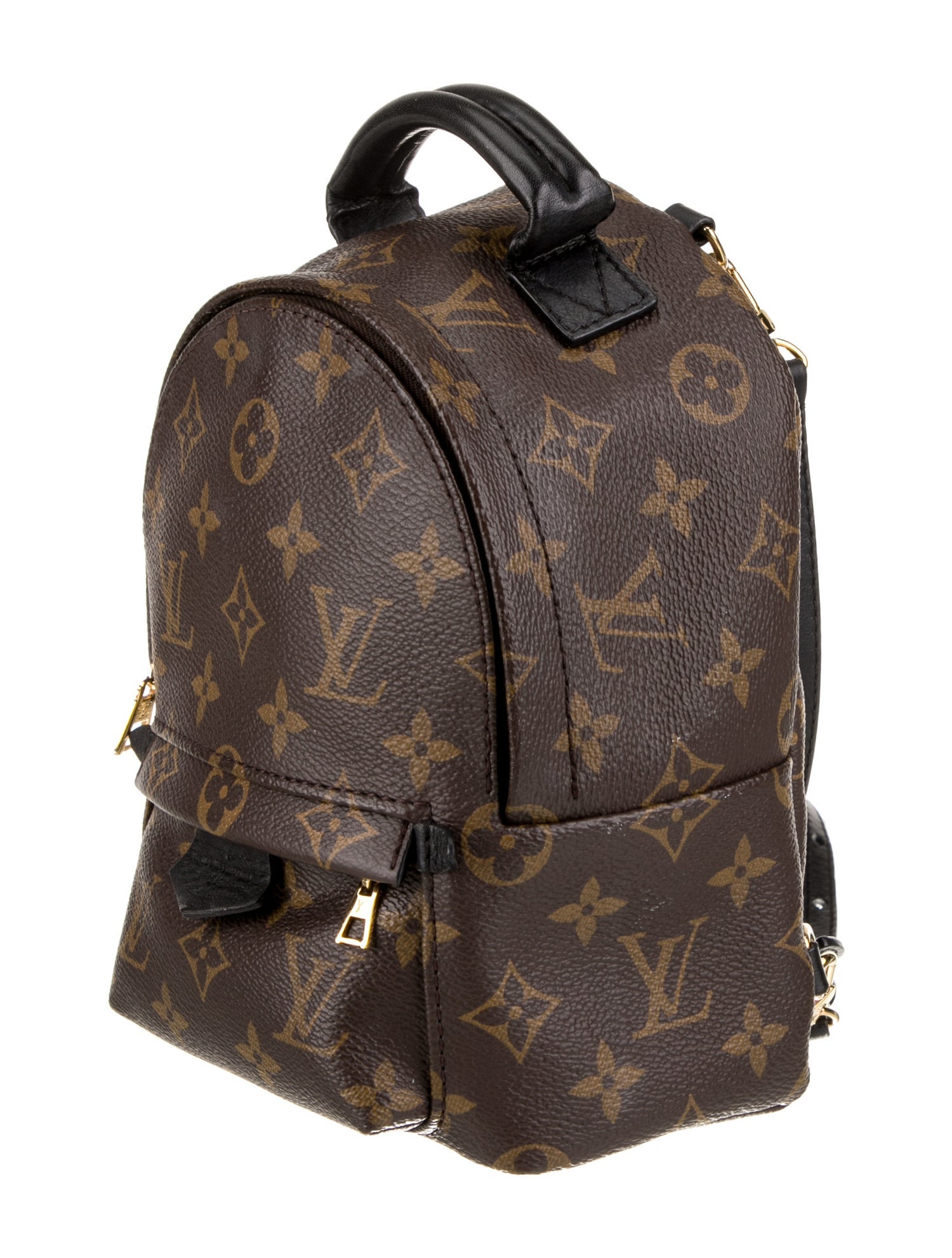 Louis Vuitton LV Monogram Palm Springs Mini