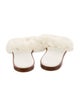 Louis Vuitton Fur Slides