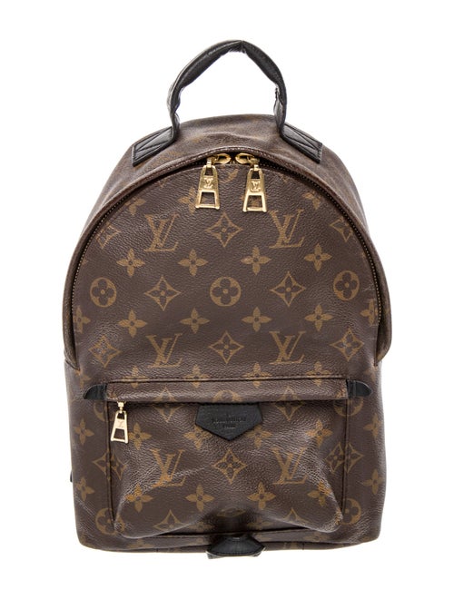 Louis Vuitton LV Monogram Palm Springs PM