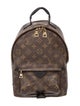 Louis Vuitton LV Monogram Palm Springs PM