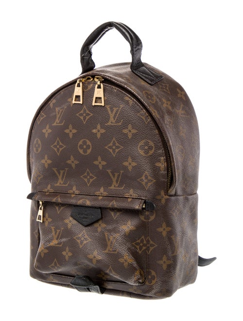 Louis Vuitton LV Monogram Palm Springs PM