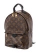 Louis Vuitton LV Monogram Palm Springs PM