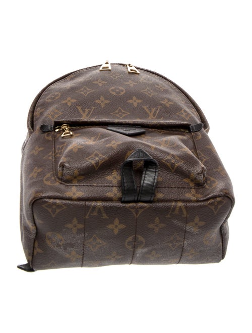 Louis Vuitton LV Monogram Palm Springs PM
