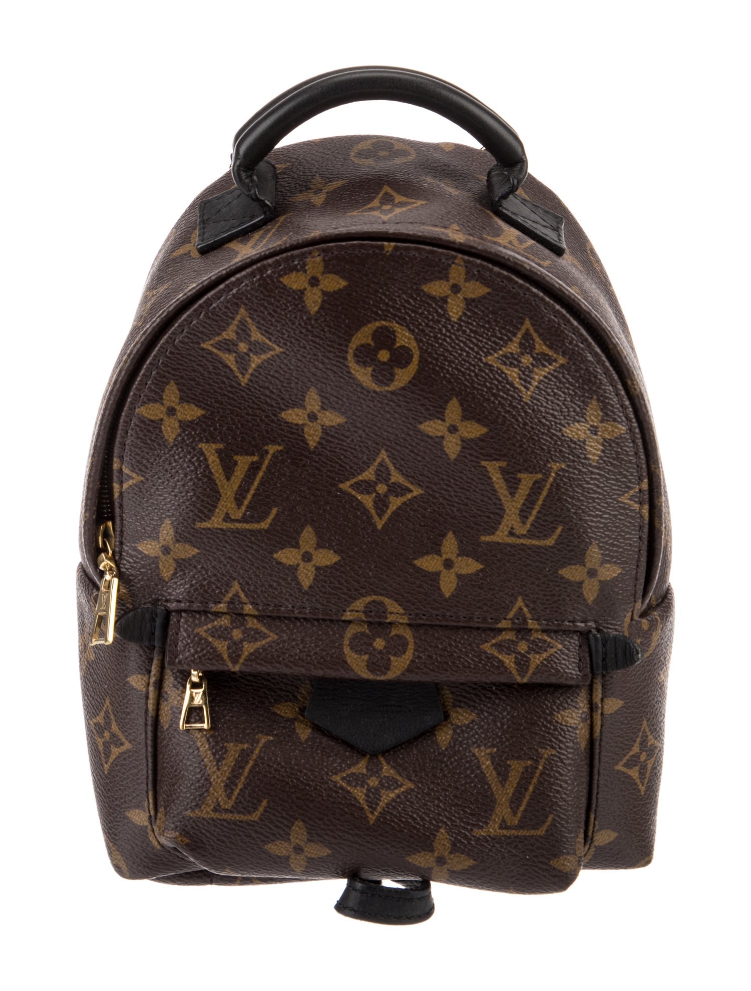 Louis Vuitton LV Monogram Palm Springs Mini